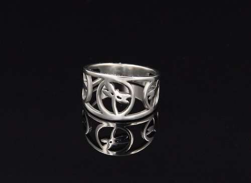 Titanium "Dragon Fly" Ring *R 499* Size 11 US