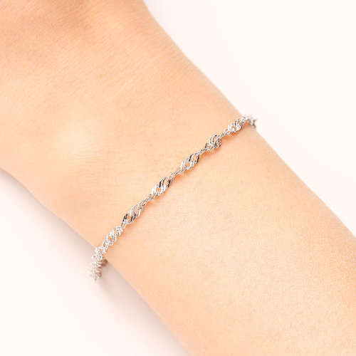 Titanium Singapore Bracelet 22 cm (SILVER) *R 899*