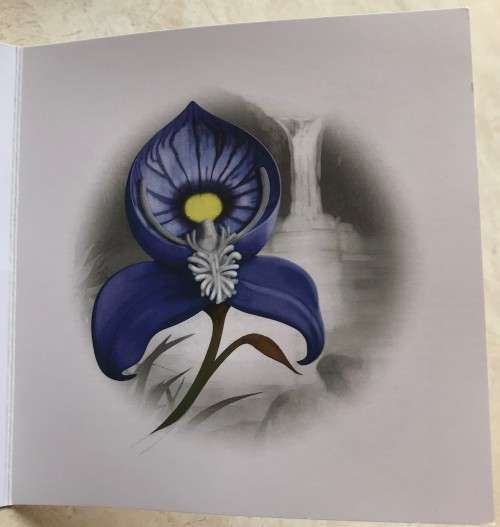 Lovely low mintage Colourised SA Mint Proof 2016 Silver R5 - Blue Bearded Disa