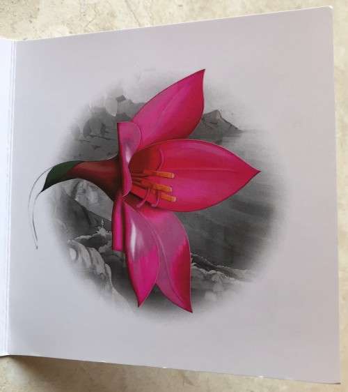 Lovely low mintage Colourised SA Mint Proof 2016 Silver R5 - Cliff Gladiolus