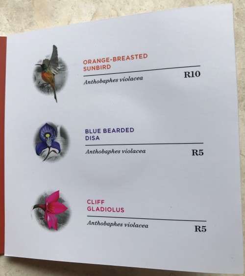 Lovely low mintage Colourised SA Mint Proof 2016 Silver R10 - Cape Rockjumper