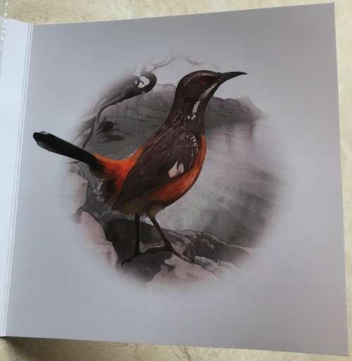 Lovely low mintage Colourised SA Mint Proof 2016 Silver R10 - Cape Rockjumper