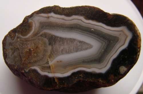 LOVELY POLISHED AGATE FROM BLOEMHOF : NORTH WEST PROVINCE