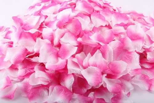 fake rose petals (material) - confetti for tables - pink