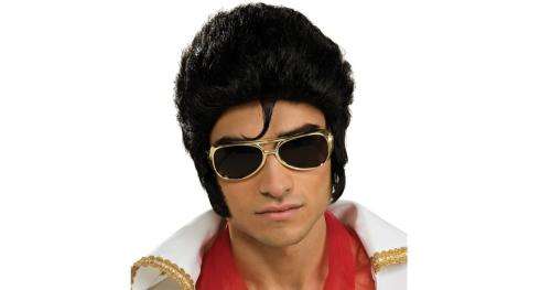Dress up Elvis wig, without curl on forehead was R40 now R20