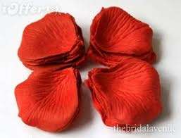 120 wedding red rose material petals