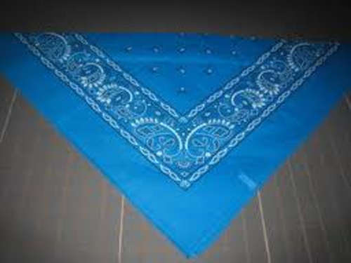 light blue headband /  party bandana