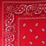 Red headband /  party bandana - perfect for cowboy party