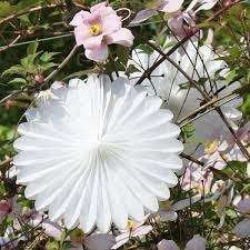 Tissue paper decorative hanging paper fan - 50cm - white (frozen)