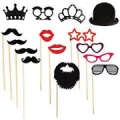 Photo props on sticks, 18 piece
