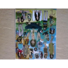 Selena Gomez sticker sheet, was R6 now R3