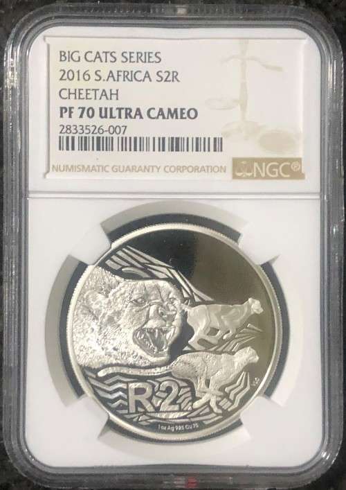 2016 R2 Big Cat Series - Cheetah PF70 Ultra Cameo(Top Pop)