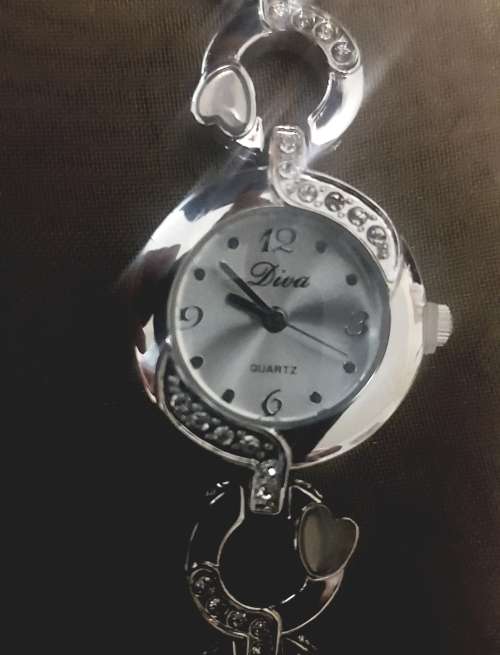 Beautiful Ladies Watch - Diva - Stunning Chrome Strap
