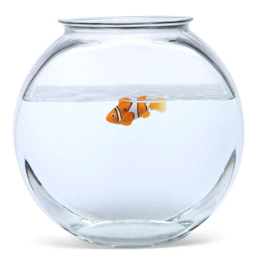 RoboFish Awesome Little Gadget for the whole family to enjoy !!!