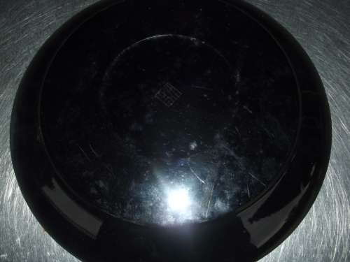 Magnificent Bird Plate