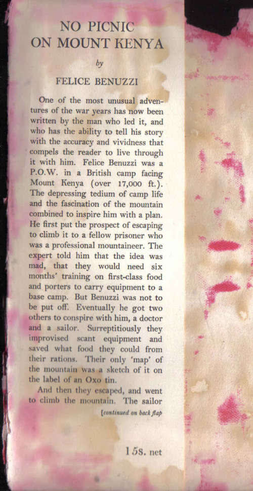 No Picnic on Mount Kenya