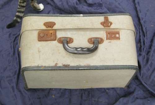 1950¿s ? Nostaligic Sewing Machine