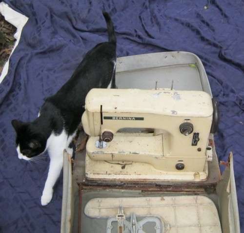 1950¿s ? Nostaligic Sewing Machine