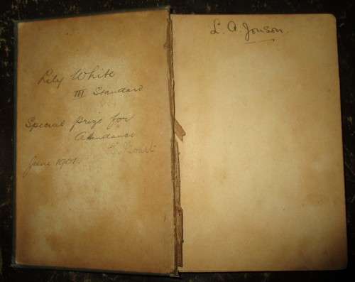 Florence Nightingale: The Wounded Soldier`s Friend Hardcover 1880 -1900 Circa