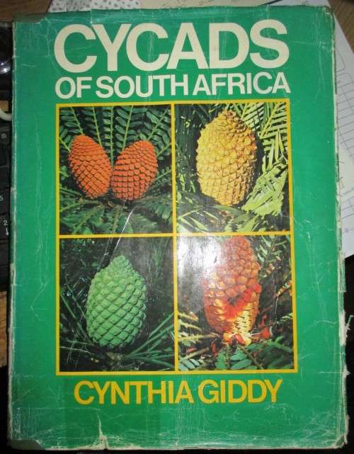 Cycads of South Africa