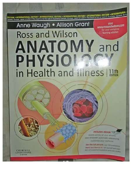 Anatomy and Physiology 2011