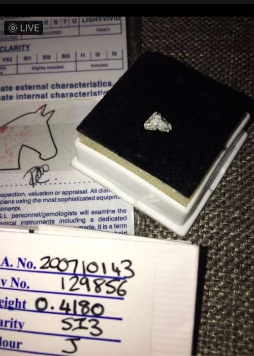 Extremely Rare 0.42ct EGL Certified Horse Head Cut Diamond Collectors Item
