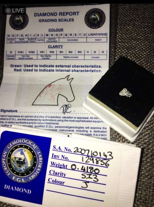 Extremely Rare 0.42ct EGL Certified Horse Head Cut Diamond Collectors Item