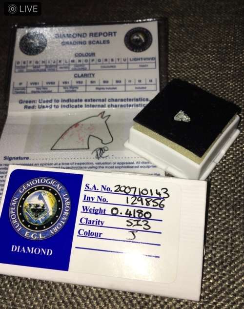 Extremely Rare 0.42ct EGL Certified Horse Head Cut Diamond Collectors Item