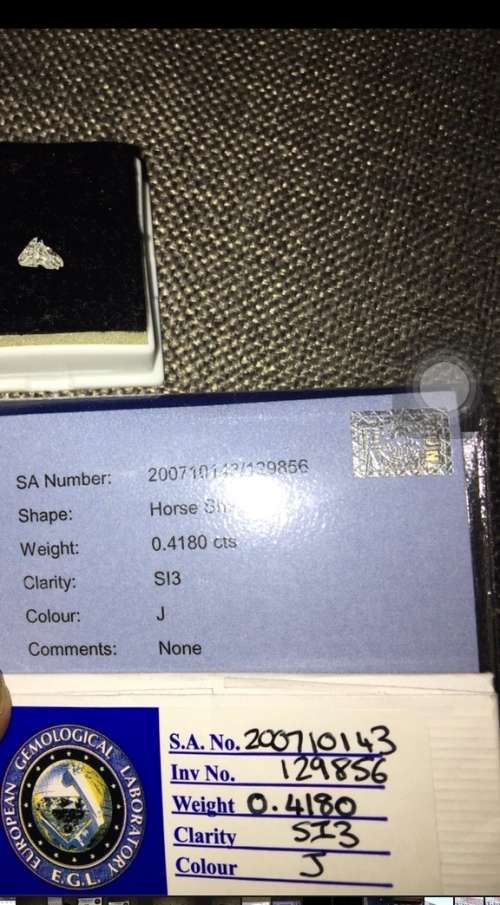 Extremely Rare 0.42ct EGL Certified Horse Head Cut Diamond Collectors Item