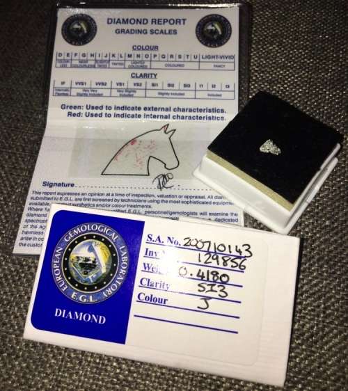 Extremely Rare 0.42ct EGL Certified Horse Head Cut Diamond Collectors Item