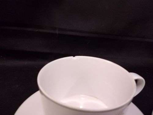 MARY LOU GOERTZEN -POINSETTIA BLOCK SPAL CUPS AND SAUCERS WATERCOLOURS