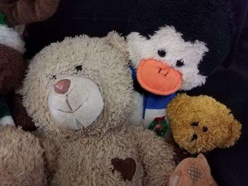 ASSORTED BOX OF PRE-LOVED PLUSH TOYS