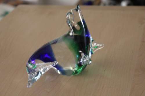 Beautiful Glass Sea Lion