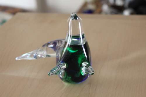 Beautiful Glass Sea Lion