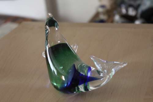Beautiful Glass Sea Lion