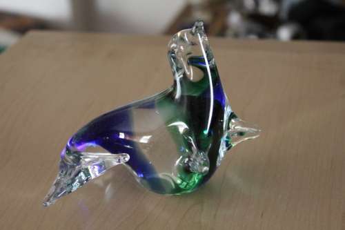 Beautiful Glass Sea Lion