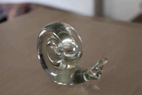 Beautiful Glass Snail