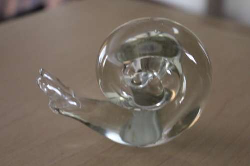 Beautiful Glass Snail