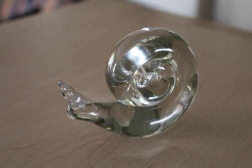 Beautiful Glass Snail