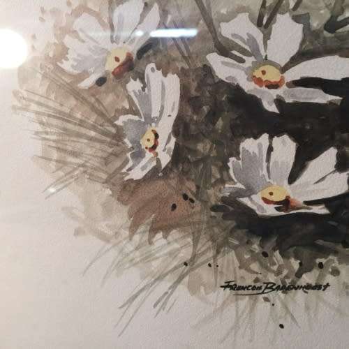 *** FRANCOIS BADENHORST *** SCARCE *** WATERCOLOUR