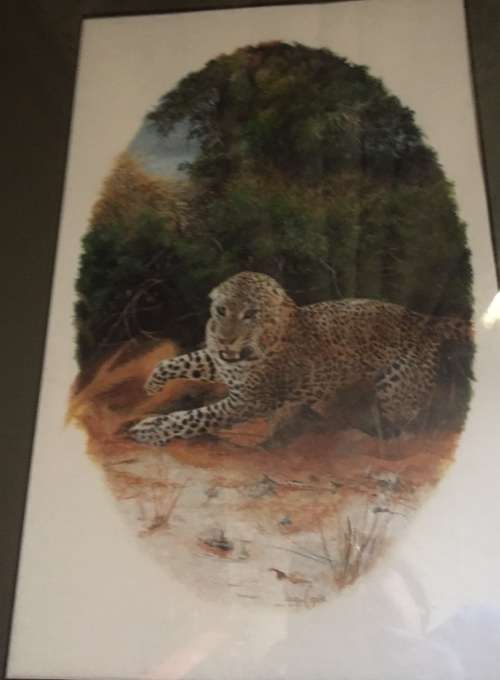 *** JACQUELINE CASTLE *** ORIGINAL *** LEOPARD IN THICKET *** FRAMED 650 x 480 ***