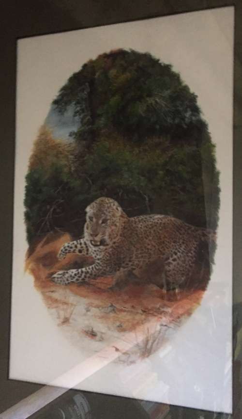 *** JACQUELINE CASTLE *** ORIGINAL *** LEOPARD IN THICKET *** FRAMED 650 x 480 ***