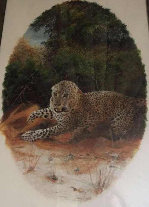 *** JACQUELINE CASTLE *** ORIGINAL *** LEOPARD IN THICKET *** FRAMED 650 x 480 ***