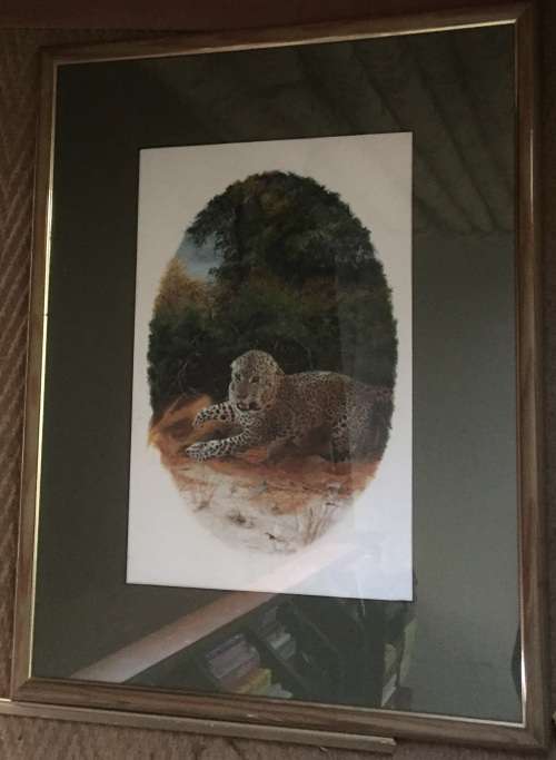 *** JACQUELINE CASTLE *** ORIGINAL *** LEOPARD IN THICKET *** FRAMED 650 x 480 ***