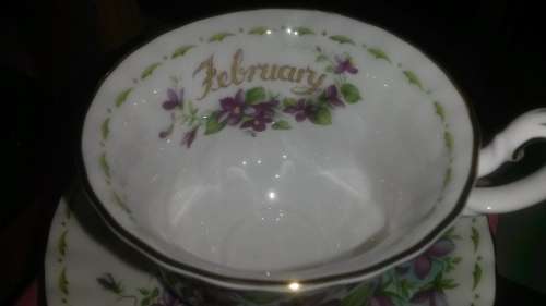 ROYAL ALBERT BONE CHINA (FLOWER OF THE MONTH SERIES)