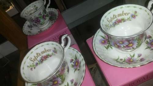 ROYAL ALBERT BONE CHINA (FLOWER OF THE MONTH SERIES)