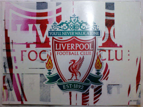 Laptop Skin for 15 inch notebook - Free shipping