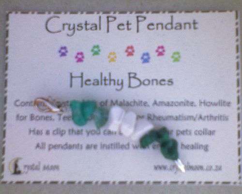 Crystal Pet Pendant : Healthy Bones