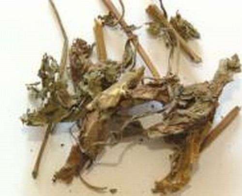 Magickal Herbs - Patchouli