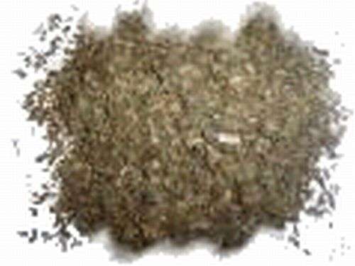 Magickal Herbs - Peppermint